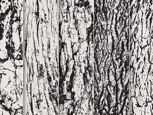 Bark & Wood Vector Textures 2