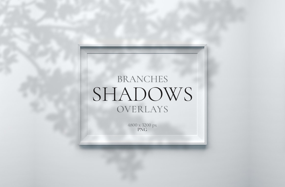 Branches Shadows Overlays