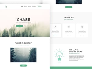 Chase Landing Page Template (PSD/HTML) 2