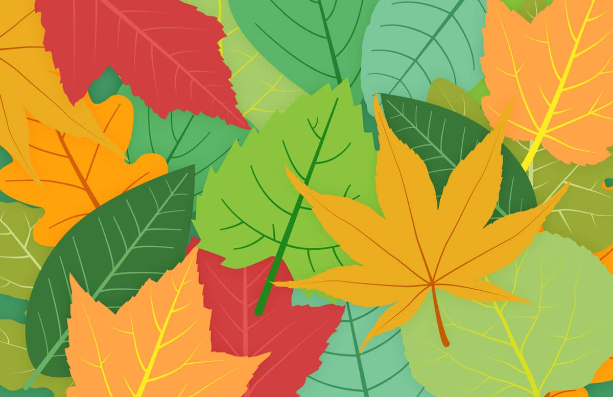Colorful  Vector  Leaves  Preview 1