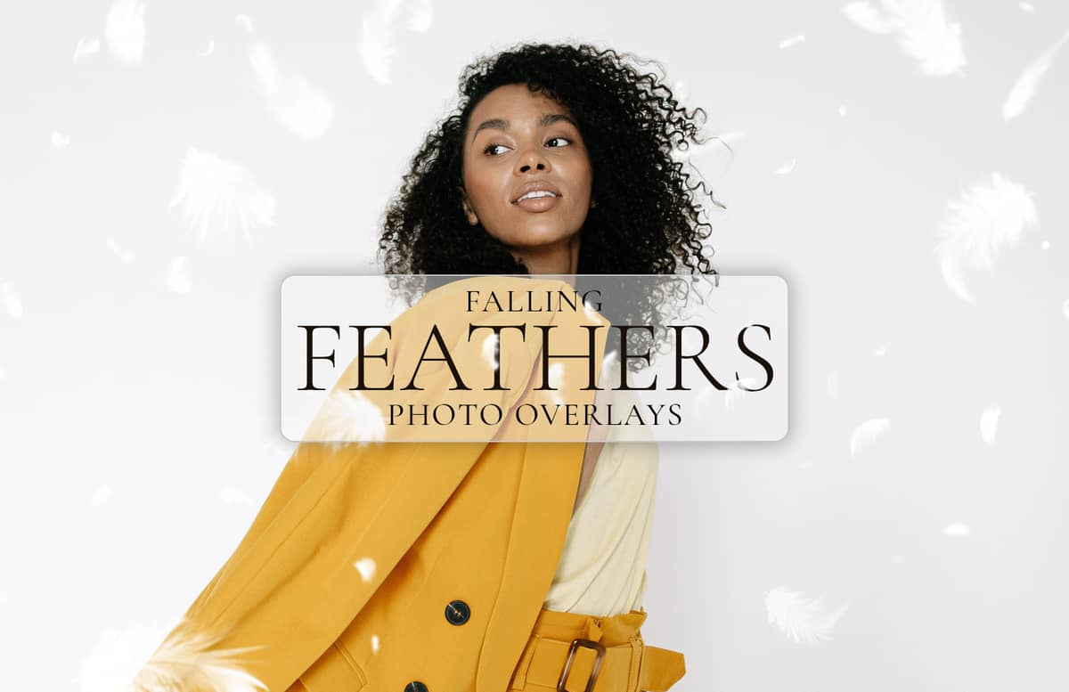 Falling Feathers Photo Overlays Preview 1