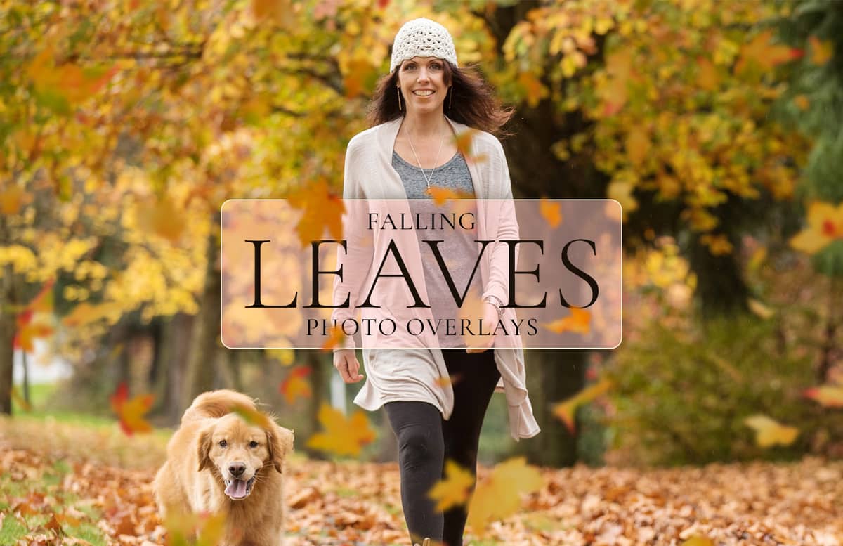 Falling Leaves Photo Overlays Preview 1