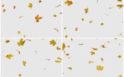 Falling Leaves Photo Overlays