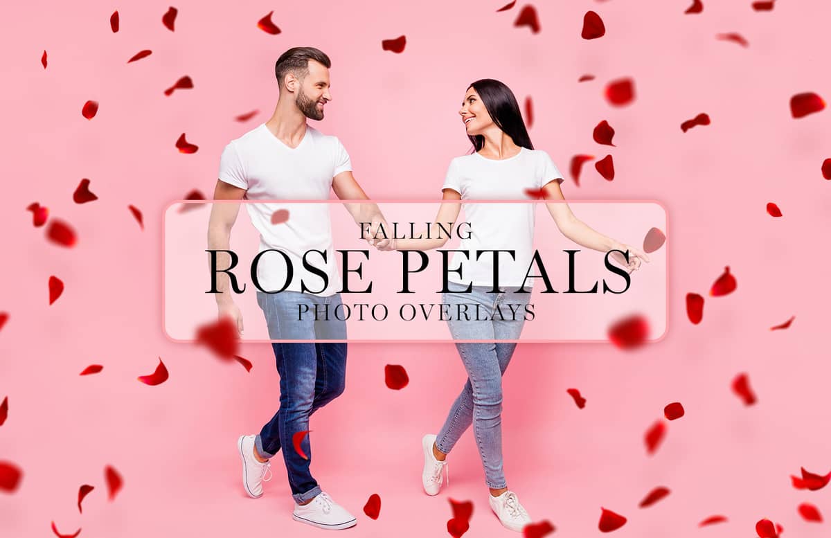 Falling Rose Petals Photo Overlays Preview 1