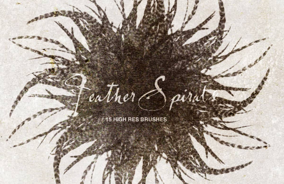 Feather  Spirals  Preview 1 1