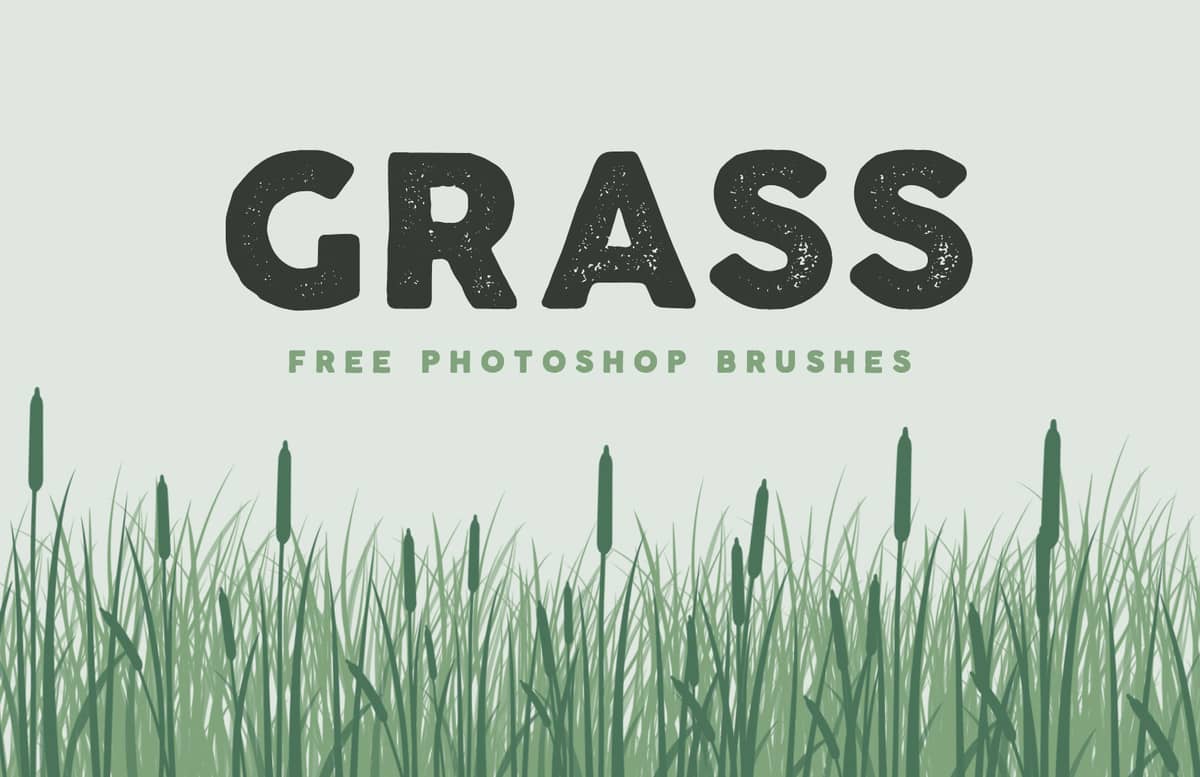 Grass Brushes For Photoshop Preview 1B