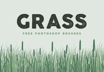 Free Grass Brushes for Photoshop