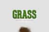 Grass Text Effect for Photoshop