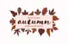 Hand Drawn Autumn Patterns & Leaves