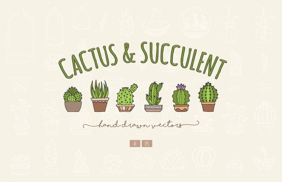 Hand Drawn Cactus Succulent Vectors Preview 1