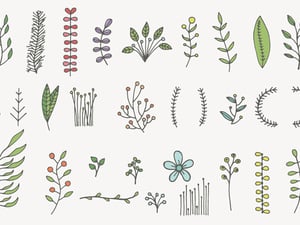 Hand Drawn Floral Vector Elements 2