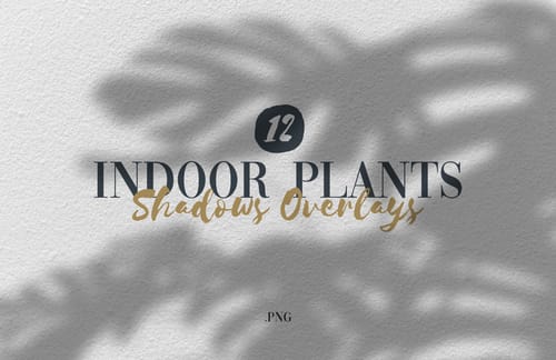 Indoor Plants Shadows Overlays