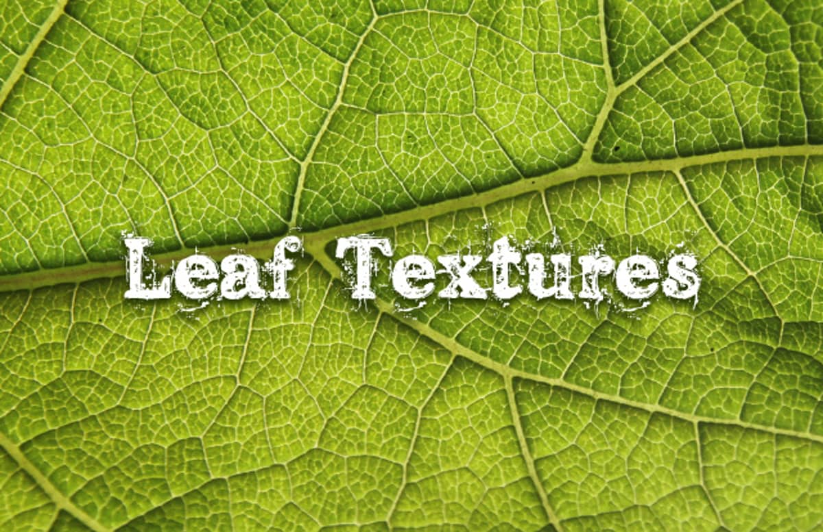 Leaf  Textures  Preview1