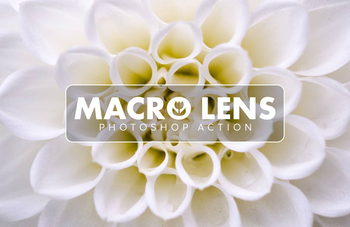 Macro Lens Photoshop Action Preview 1
