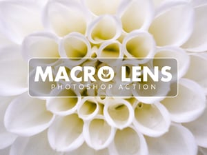 Macro Lens Photoshop Action 1