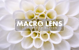 Macro Lens Photoshop Action