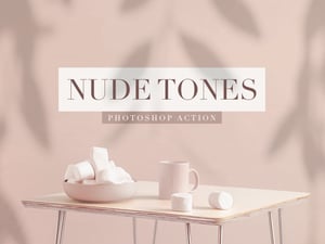 Nude Tones Photoshop Action 1