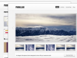 Parallax: Free Wordpress Theme 2