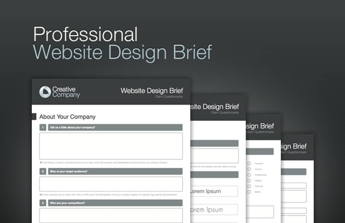 Professional  Website  Design  Brief1