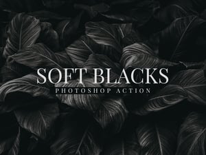 Soft Blacks Photoshop Action 1