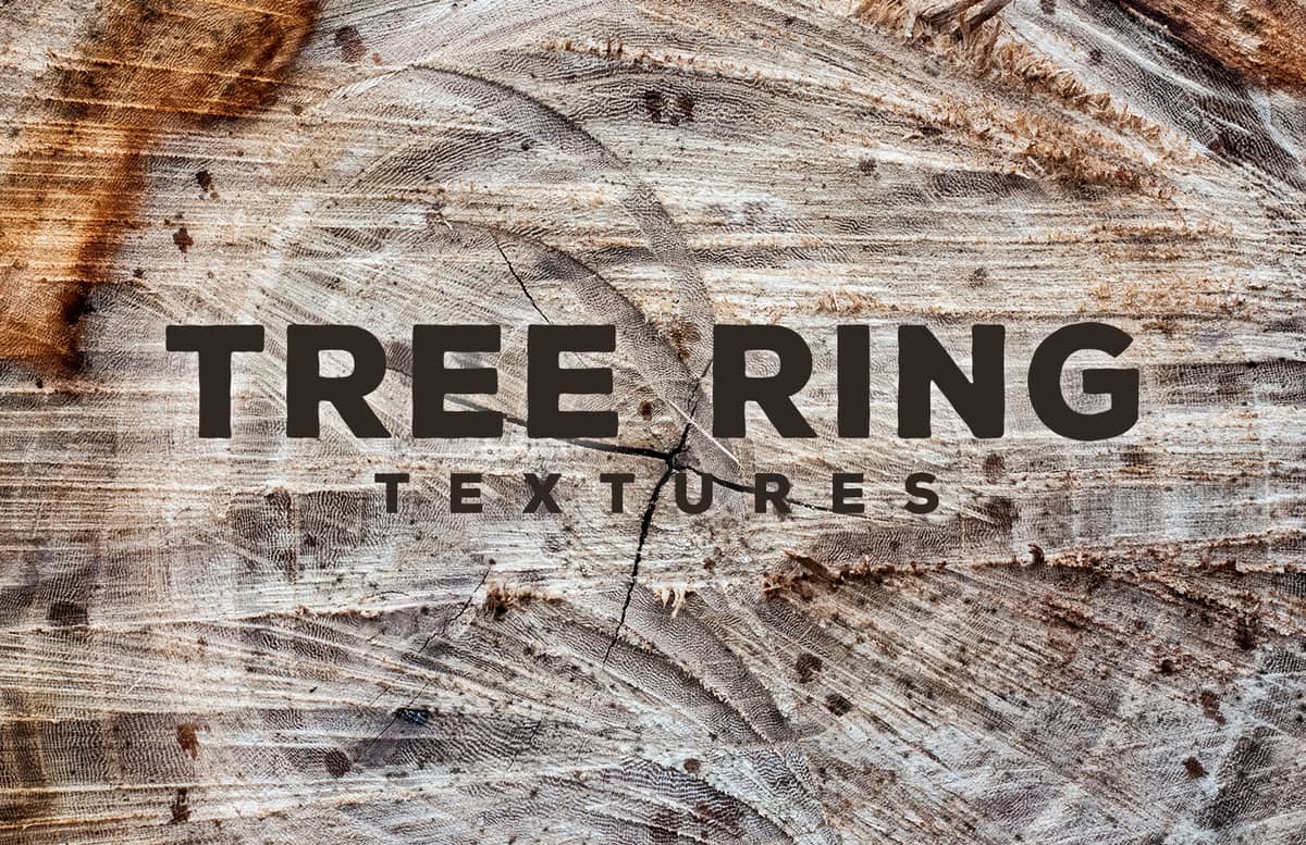 Tree  Ring  Textures  Preview 1