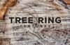 Tree Ring Textures
