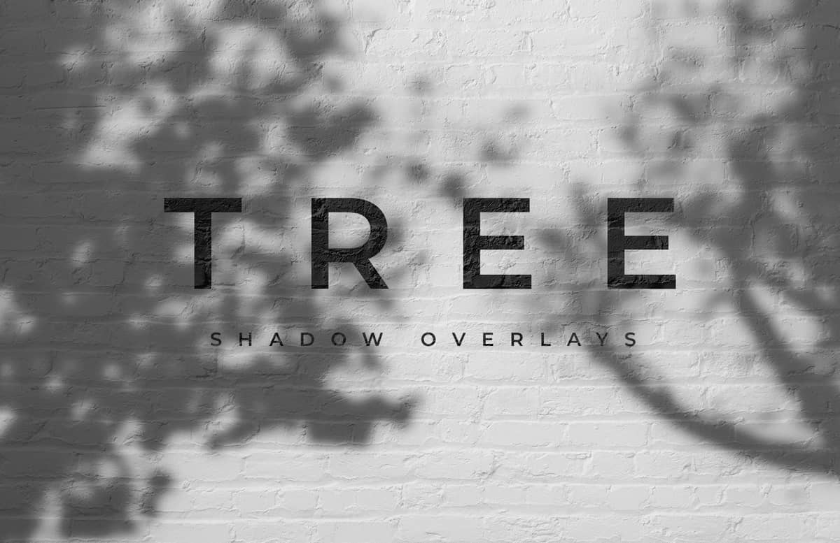 Tree Shadow Overlays Preview 1