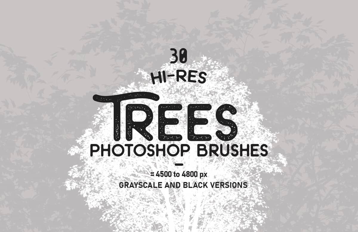 Trees Photoshop Brushes Preview 1