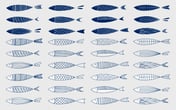 Vector Fishes Patterns and Illustrations