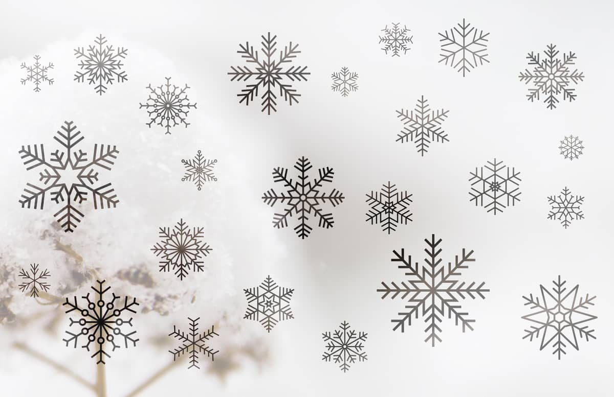 Vector  Snowflakes  Preview 1
