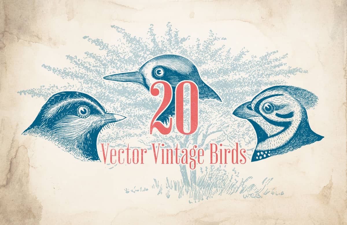 Vector Vintage Birds Preview 1
