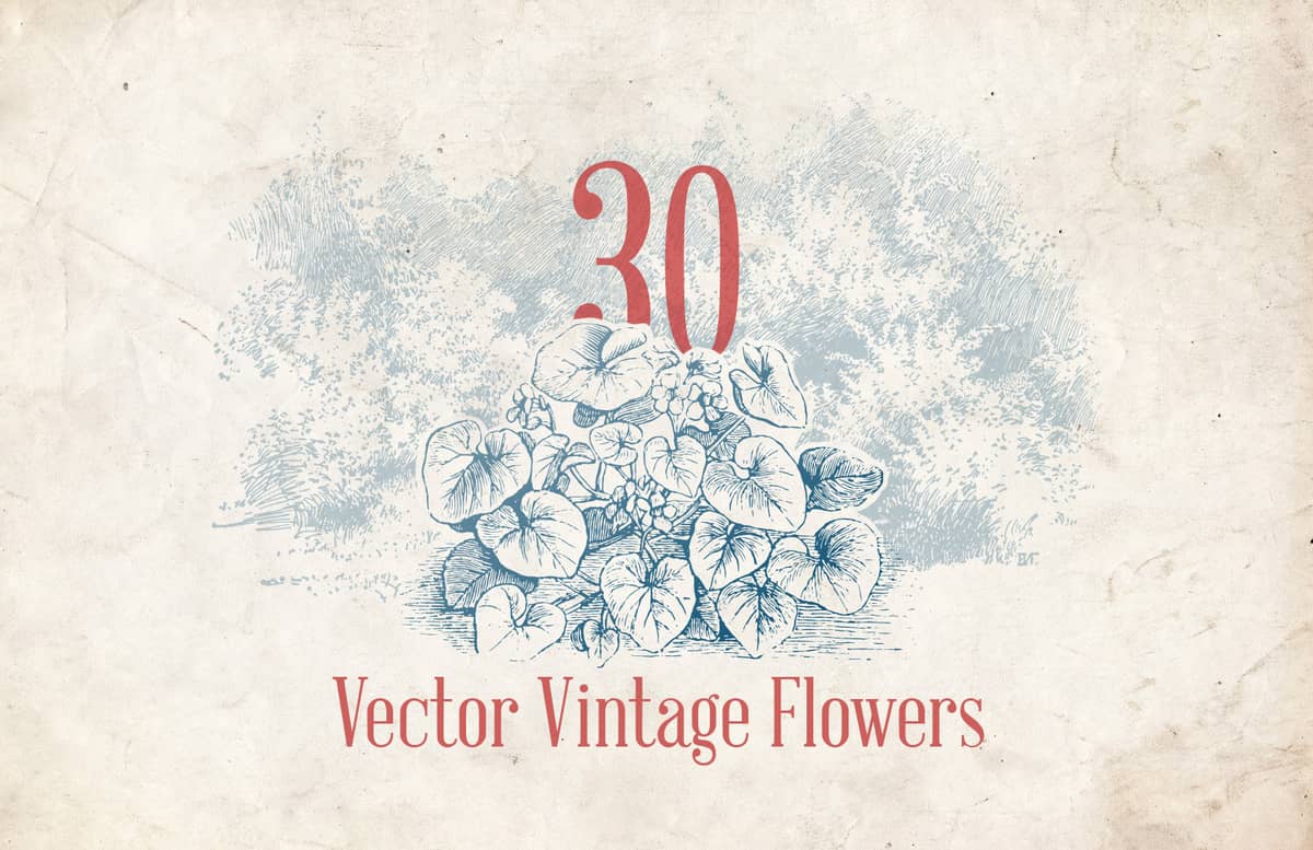 Vector Vintage Flowers Preview 1