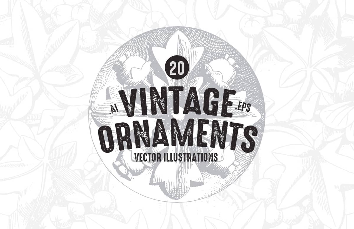 Vector Vintage Ornaments Preview 1