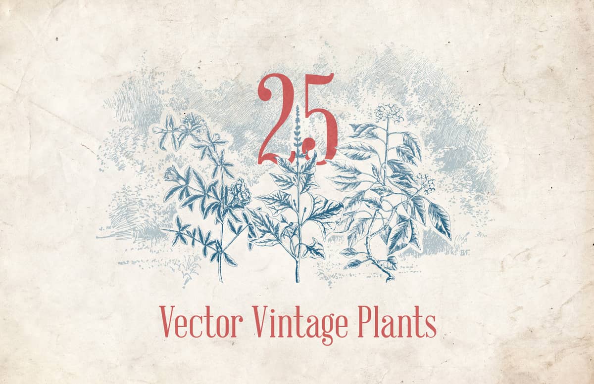 Vector Vintage Plants Preview 1