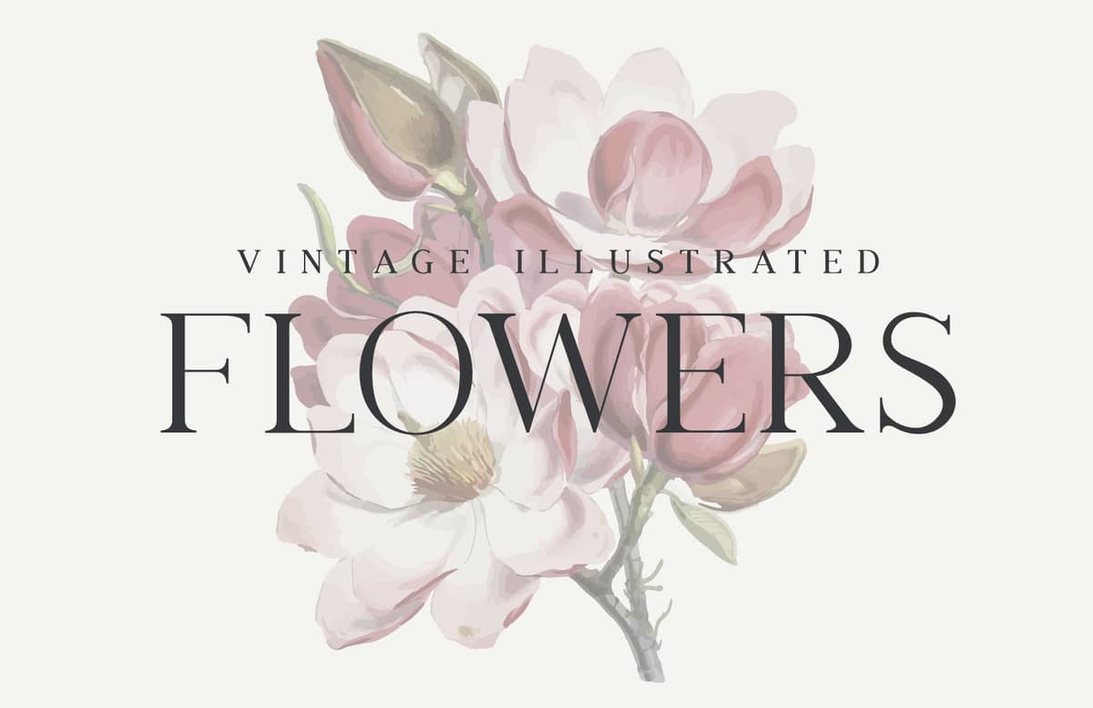 Vintage Illustrated Flowers Preview 1