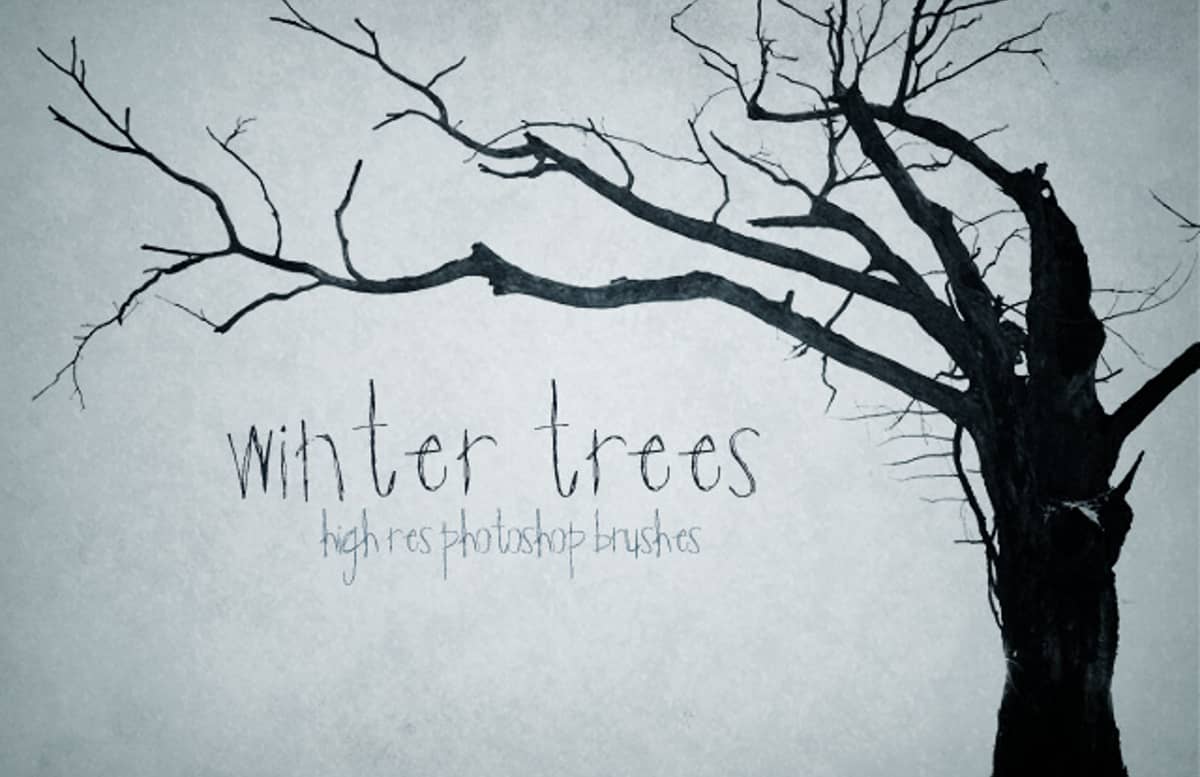 Winter  Trees  Preview1